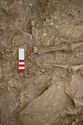 Thumbnail of Memorial Garden Photo 05275 Skeleton 608746 feet