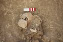 Thumbnail of Memorial Garden Photo 05278 Skeleton 608746 skull