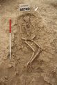 Thumbnail of Memorial Garden Photo 05476 Skeleton 608749 overview