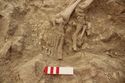 Thumbnail of Memorial Garden Photo 05478 Skeleton 608749 feet