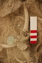 Thumbnail of Memorial Garden Photo 05486 Skeleton 608749 brooch oblique