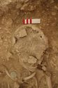Thumbnail of Memorial Garden Photo 05487 Skeleton 608749 skull