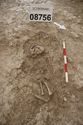 Thumbnail of Memorial Garden Photo 06029 Skeleton 608756 overview
