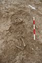 Thumbnail of Memorial Garden Photo 06030 Skeleton 608756 overview no board