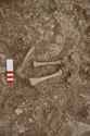 Thumbnail of Memorial Garden Photo 06031 Skeleton 608756 legs