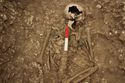 Thumbnail of Photo 10203 Skeleton 606044 torso