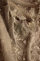 Thumbnail of Photo 10397 Skeleton 606044 SF1105 brooch
