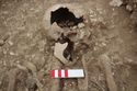 Thumbnail of Photo 10405 Skeleton 606044 skull