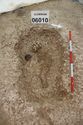 Thumbnail of Photo 10489 Skeleton 606010