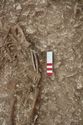 Thumbnail of Photo 10491 Skeleton 606010 SF1127 Copper object