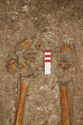 Thumbnail of Photo 10673 Skeleton 606217 feet