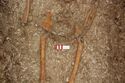Thumbnail of Photo 10674 Skeleton 606217 feet no scale