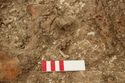 Thumbnail of Photo 10675 Skeleton 606217 pelvis