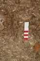 Thumbnail of Photo 10677 Skeleton 606217 Iron blade
