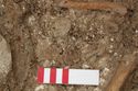 Thumbnail of Photo 10680 Skeleton 606217 brooches