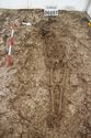 Thumbnail of Photo 10845 Skeleton 606057