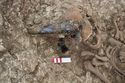 Thumbnail of Photo 10848 Skeleton 606057 glass bowl