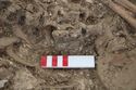 Thumbnail of Photo 10851 Skeleton 606057 buckle