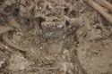 Thumbnail of Photo 10852 Skeleton 606057 buckle no scale