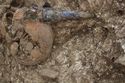 Thumbnail of Photo 10854 Skeleton 606057 glass cone beaker no scale