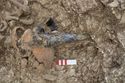 Thumbnail of Photo 10855 Skeleton 606057 glass cone beaker in context