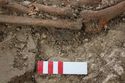 Thumbnail of Photo 10858 Skeleton 606057 Copper object
