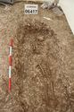 Thumbnail of Photo 11352 Skeleton 606417