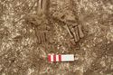 Thumbnail of Photo 11355 Skeleton 606417 feet no scale