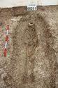 Thumbnail of Photo 11668 Skeleton 606251