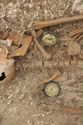 Thumbnail of Photo 11685 Skeleton 606251 disc brooches SF1166 SF1167 oblique