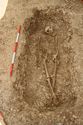 Thumbnail of Photo 12062 Skeleton 605420 no board
