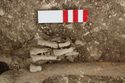 Thumbnail of Photo 12066 Skeleton 605420 left hand