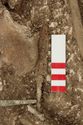 Thumbnail of Photo 12067 Skeleton 605420 Iron knife