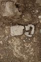 Thumbnail of Photo 12072 Skeleton 605420 Iron belt buckle