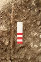 Thumbnail of Photo 12074 Skeleton 605420 Iron spear