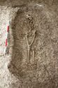 Thumbnail of Photo 12219 Skeleton 606251 no board