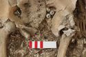 Thumbnail of Photo 12231 Skeleton 606251 beads, pelvis