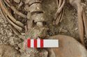 Thumbnail of Photo 12232 Skeleton 606251 beads, lower abdomen