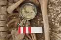 Thumbnail of Photo 12234 Skeleton 606251 brooch SF1167 and beads