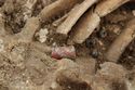 Thumbnail of Photo 12239 Skeleton 606251 detail of bead, malachite and red