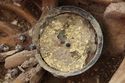 Thumbnail of Photo 12242 Skeleton 606251 disc brooch SF1167