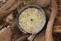 Thumbnail of Photo 12243 Skeleton 606251 disc brooch SF1167