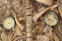 Thumbnail of Photo 12244 Skeleton 606251 disc brooches SF1167 and SF1166