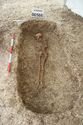 Thumbnail of Photo 12423 Skeleton 606566