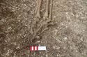 Thumbnail of Photo 12425 Skeleton 606566 feet