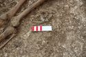 Thumbnail of Photo 12427 Skeleton 606566 purse