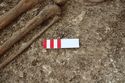 Thumbnail of Photo 12428 Skeleton 606566 purse, post ex