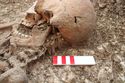 Thumbnail of Photo 12436 Skeleton 606566 skull
