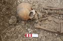 Thumbnail of Photo 12438 Skeleton 606566 skull, flint