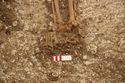 Thumbnail of Photo 12648 Skeleton 605723 feet